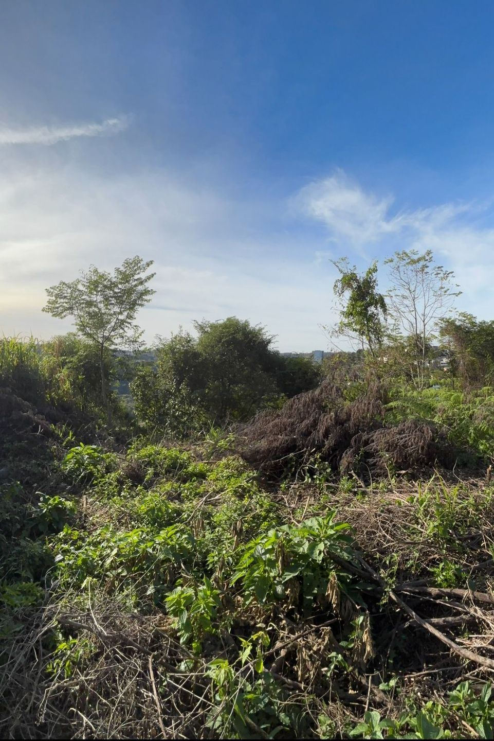 Terreno no Salgado Filho