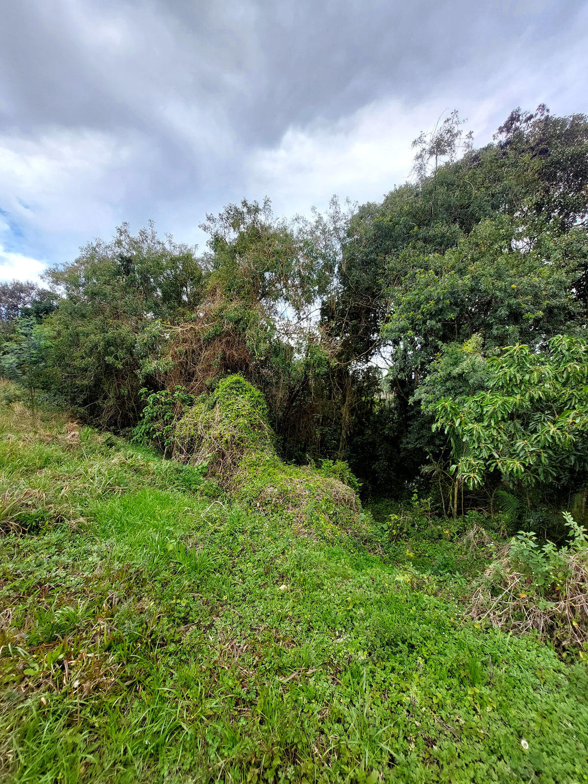 Terreno em Farroupilha
