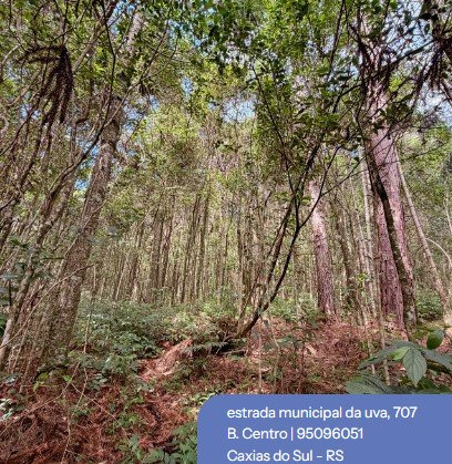 Chacrinha Segunda Légua
